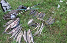 Сезонный запрет на лов рыбы начинается с 1 апреля в Беларуси