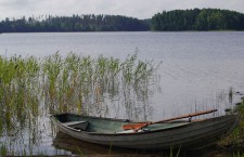 В Тверской области на время нереста запретили вылов рыбы