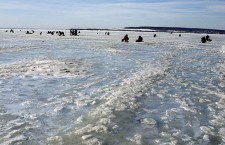Спасатели сняли с льдины в Куршском заливе 80 рыбаков