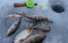 В Псковской области пройдет чемпионат по ловле рыбы на мормышку