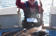 Шотландский рыбак поймал и отпустил рекордного ската