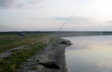 Рыбаки Приднестровья недовольны слишком строгими ограничениями рыбной ловли в нерестовый период