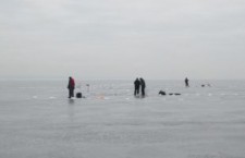 В Ленобласти в Финский залив на льдине едва не уплыло 70 человек