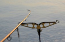 Чемпионат по спортивной рыбалке проведут в Рыбинске