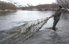Якутские рыбаки смогут использовать сети