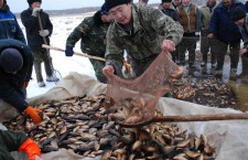 На Чукотке будут субсидировать закупку рыбы у населения